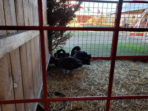 Produce Market «Didier Farms», reviews and photos, 16678 Aptakisic Rd, Lincolnshire, IL 60069, USA