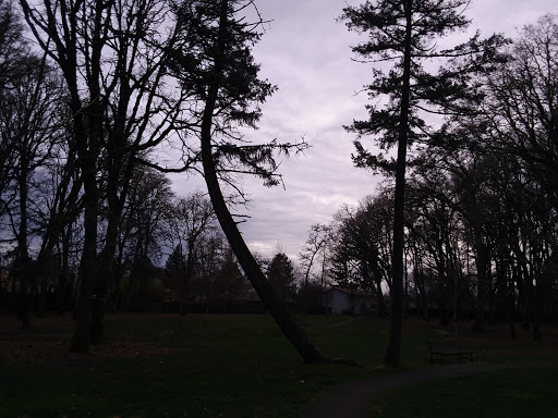 Park «Shadywood Park», reviews and photos, 535 NE 24th Ave, Hillsboro, OR 97124, USA