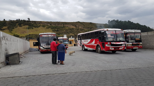 Compañía De Transporte Calsig Express S.A.