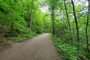 Pequonnock Valley Wildlife Management Area image