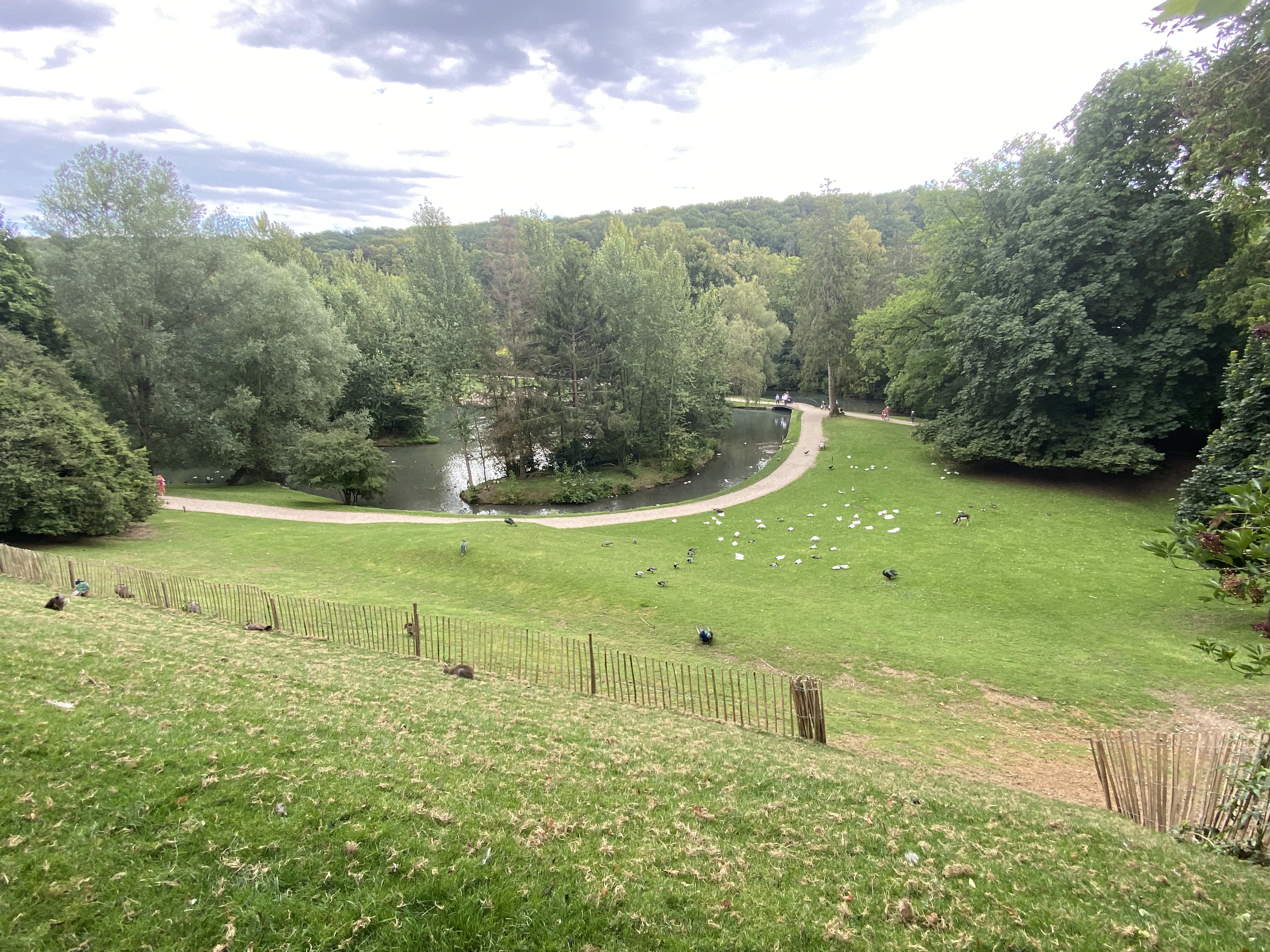 Photo n° 19 de l'avis de Mickael.e fait le 11/08/2023 à 05:54