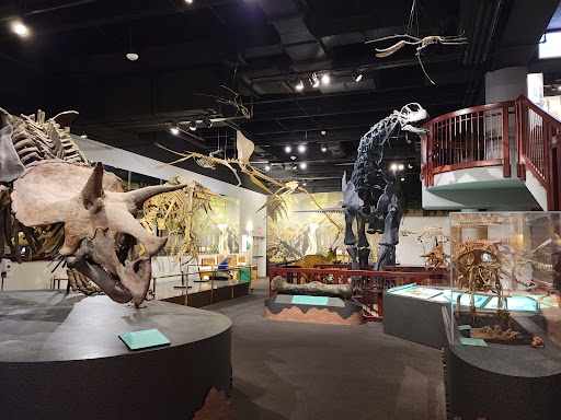 Arizona Museum of Natural History