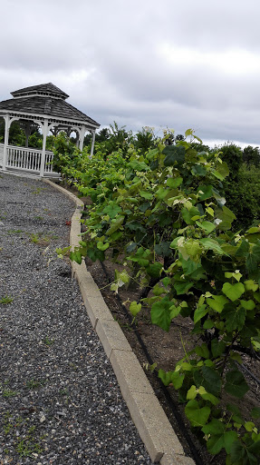 Orchard «George Hill Orchards», reviews and photos, 582 George Hill Rd, South Lancaster, MA 01561, USA