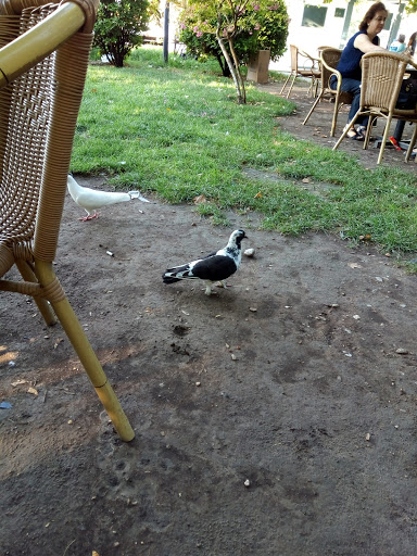 Muğla 200 Derneği Parkı