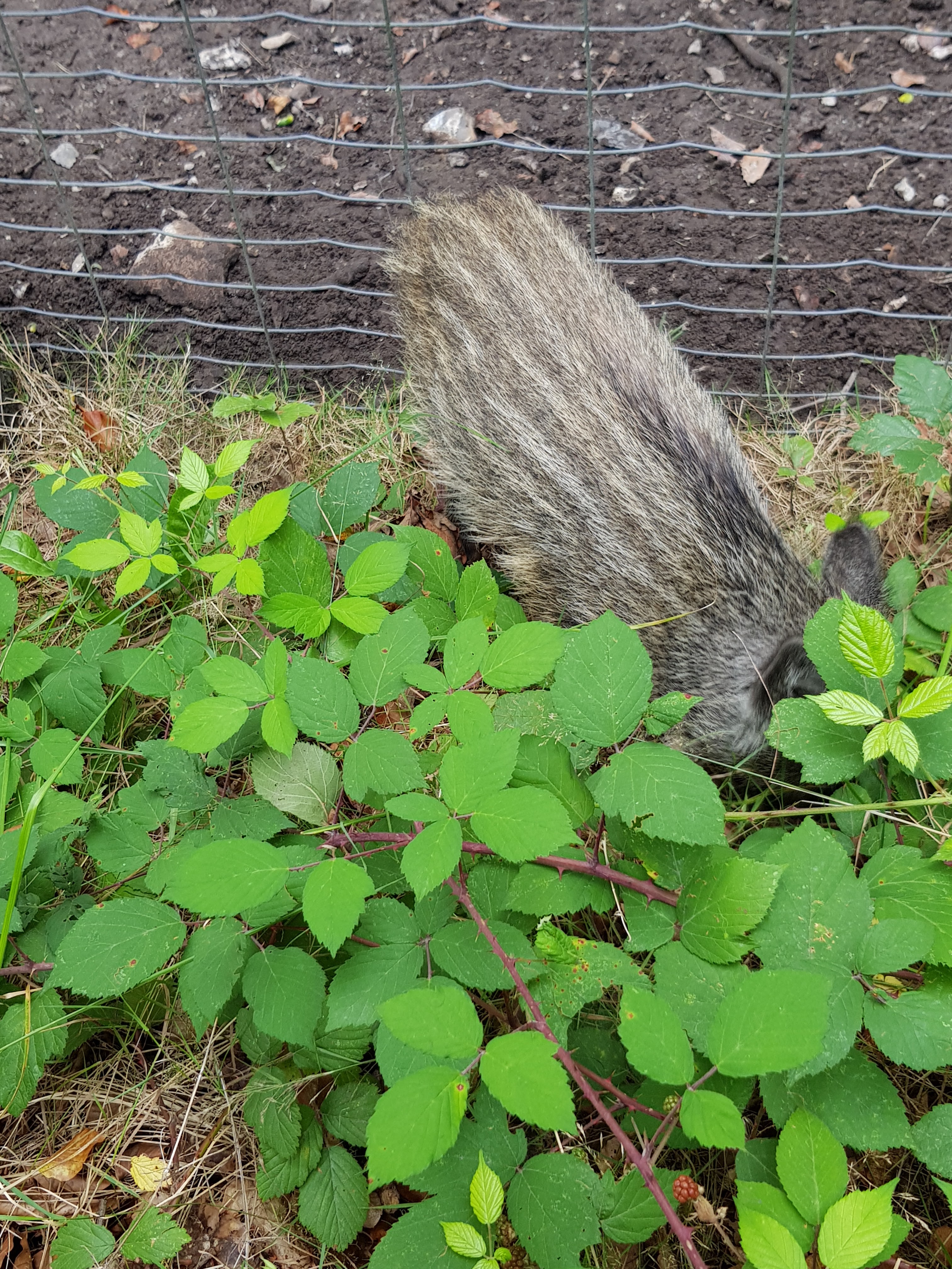 Photo n° 4 de l'avis de Martine.R fait le 21/08/2018 à 17:38