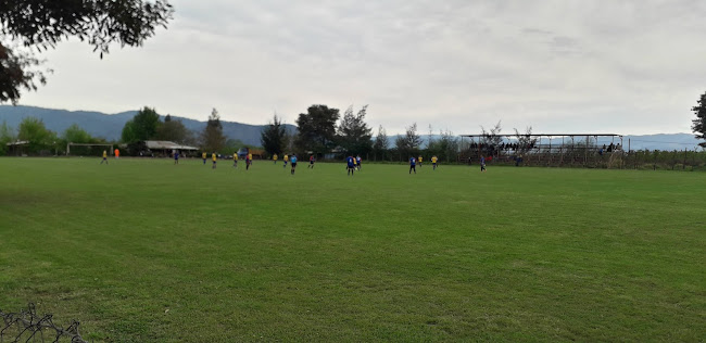 Opiniones de Club Deportivo Los Alisos en Teno - Campo de fútbol