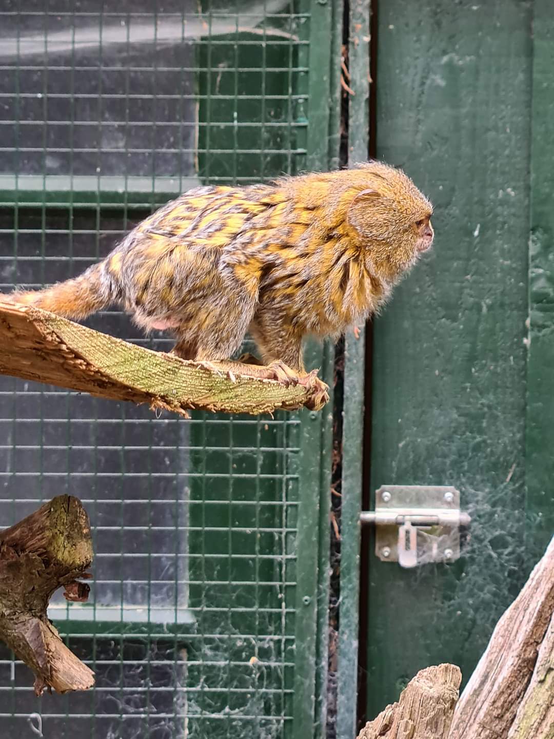 Photo n° 29 de l'avis de Maïté.e fait le 03/08/2022 à 19:24