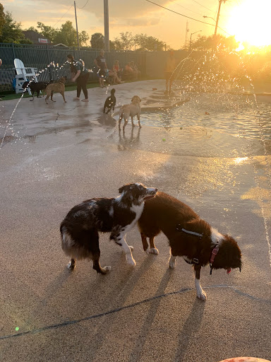 Veterinarian «PetCoral Resort and Veterinary», reviews and photos, 924 Del Prado Blvd, Cape Coral, FL 33990, USA