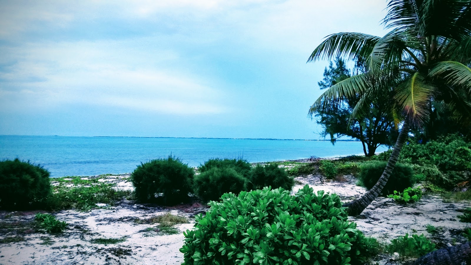 Kew Town beach II photo #7