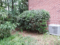 Garden Spot - Photo 7 - Car repair in Charlottesville, VA, Charlottesville