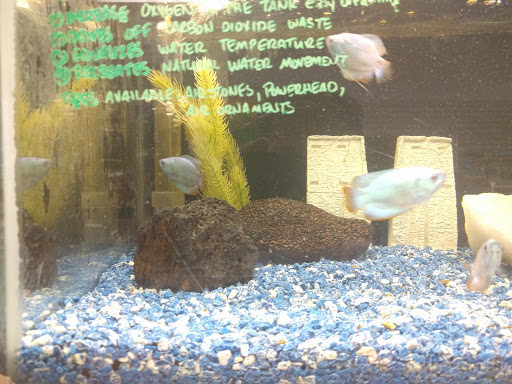 Pet Store «The Pet Pad», reviews and photos, 1239 NW Maynard Rd, Cary, NC 27513, USA