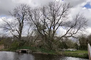 Het Nieuwe Bijenpark image