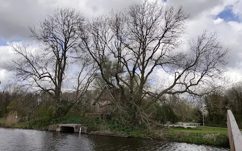 Het Nieuwe Bijenpark image