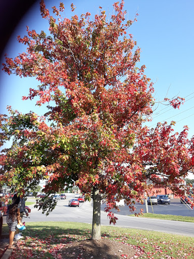 Supermarket «ALDI», reviews and photos, 108 Circle Dr, Lebanon, TN 37087, USA