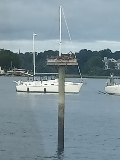 Park «Parker Memorial Park», reviews and photos, Harbor St, Branford, CT 06405, USA