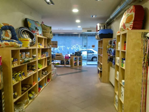 Clínica Veterinaria Soloarte en Basauri