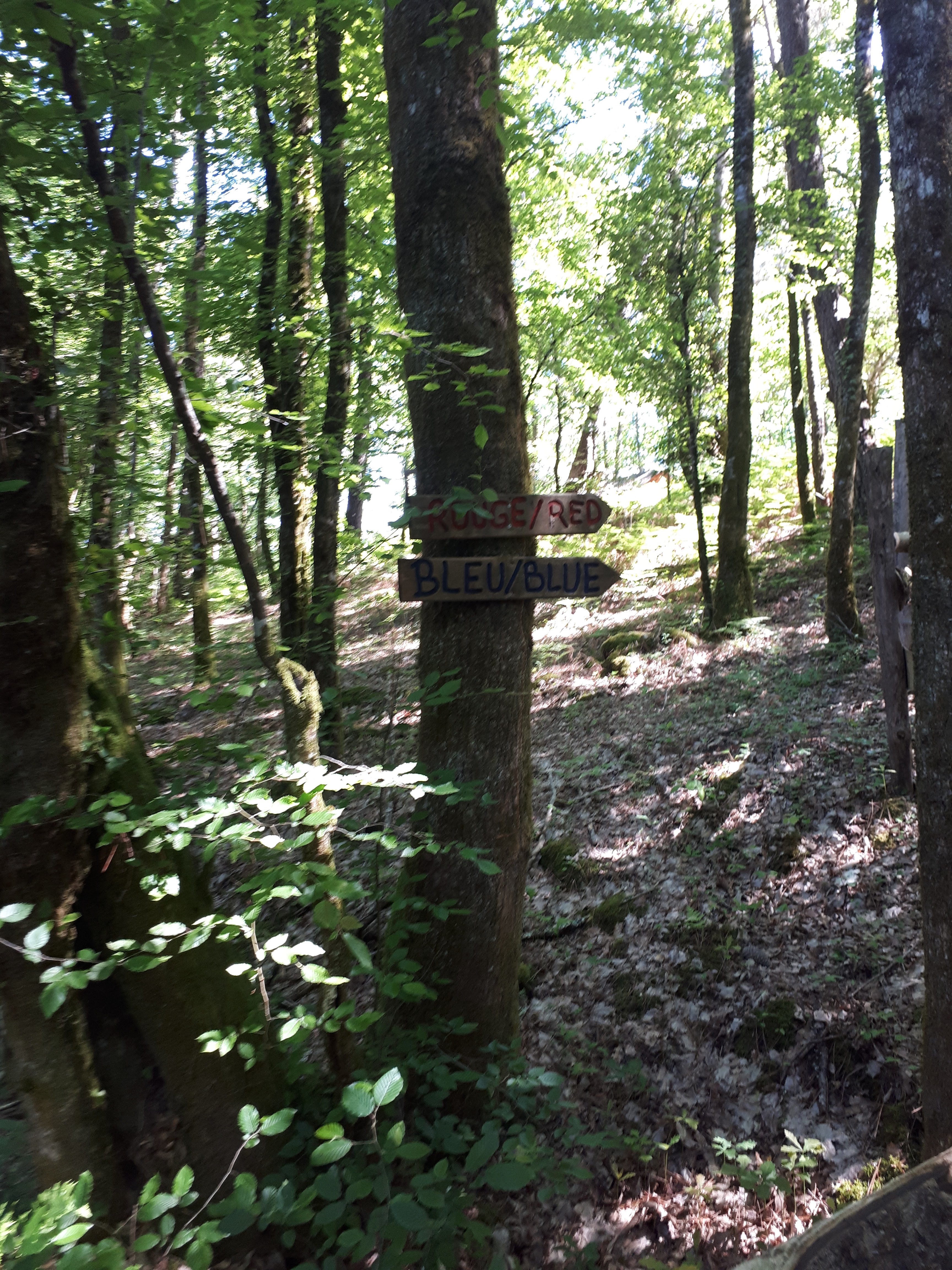 Photo n° 4 de l'avis de Diophante.i fait le 01/06/2019 à 09:32