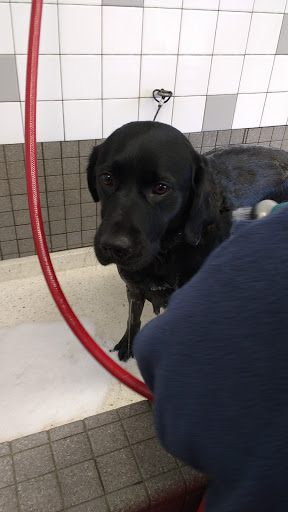 Pet Supply Store «Pet Food Express», reviews and photos, 5148 Stevens Creek Blvd, San Jose, CA 95129, USA