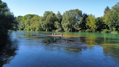 Pont de Bisseuil à Aÿ-Champagne