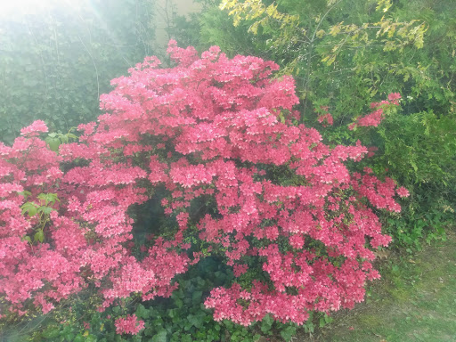 Park «Post Park», reviews and photos, 451 Unqua Rd, Massapequa Park, NY 11762, USA