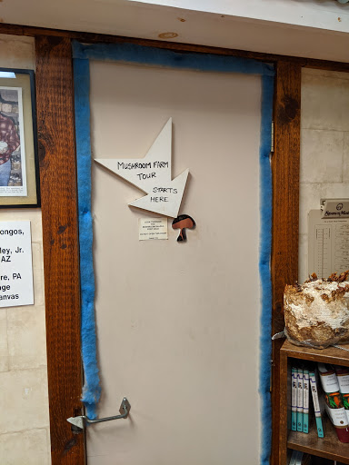 Gift Shop «The Mushroom Cap», reviews and photos, 114 W State St, Kennett Square, PA 19348, USA