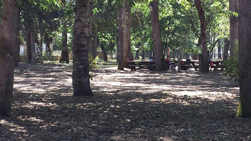 Park «Shadywood Park», reviews and photos, 535 NE 24th Ave, Hillsboro, OR 97124, USA