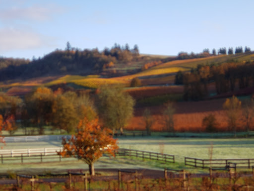 Winery «Zenith Vineyard», reviews and photos, 5657 Zena Rd NW, Salem, OR 97304, USA