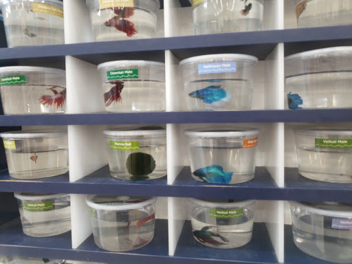 Pet Supply Store «Petco Animal Supplies», reviews and photos, 92 Cluff Crossing Rd, Salem, NH 03079, USA