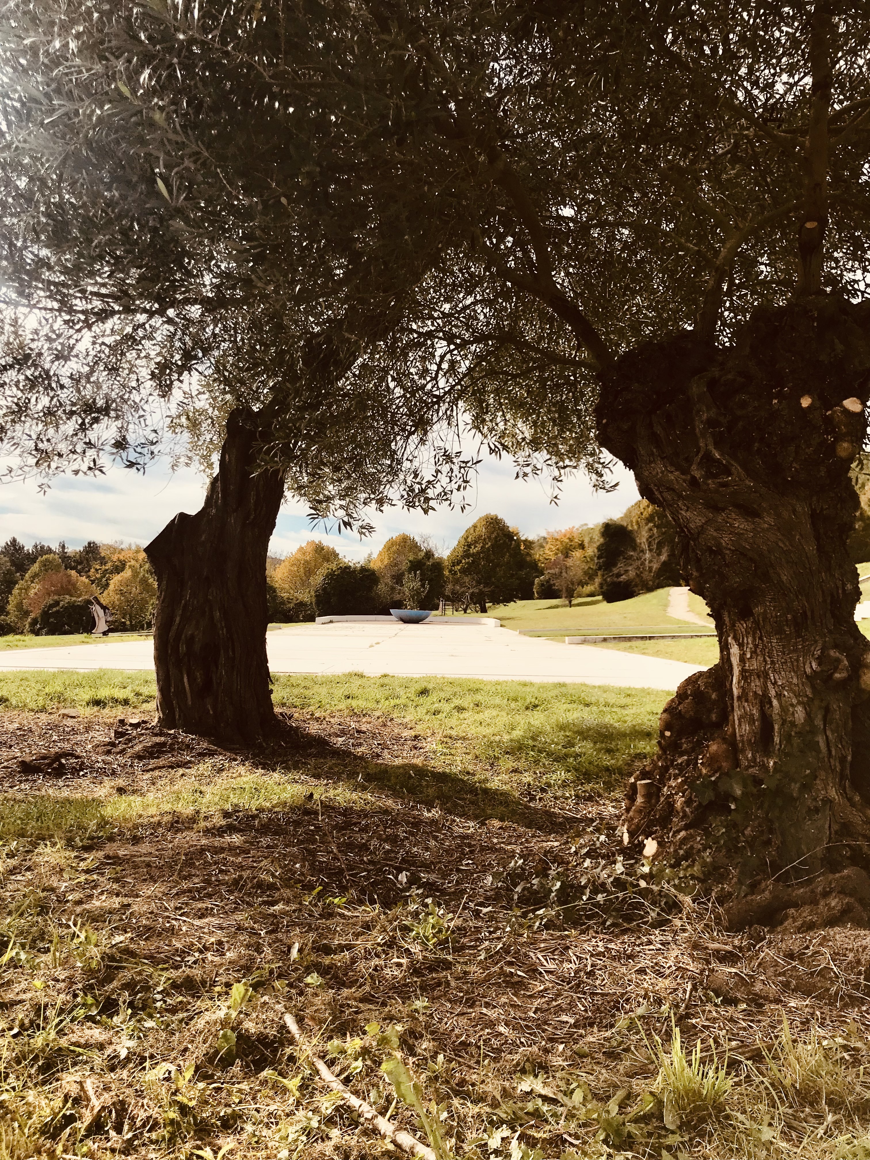 Photo n° 29 de l'avis de B2n. fait le 17/10/2021 à 14:23
