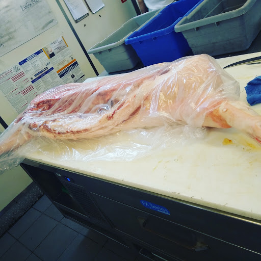 Cafe «Publican Quality Meats», reviews and photos, 825 W Fulton Market, Chicago, IL 60607, USA