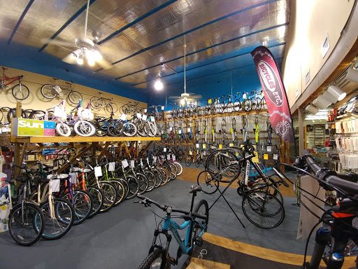 Bicycle Store «Bicycles Etc.», reviews and photos, 8036 Philips Hwy #8, Jacksonville, FL 32256, USA