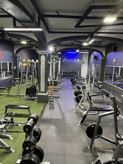 Alpha Fitness - Portal Del Carmen 238, Zona Centro, 38900 Salvatierra, Gto., Mexico