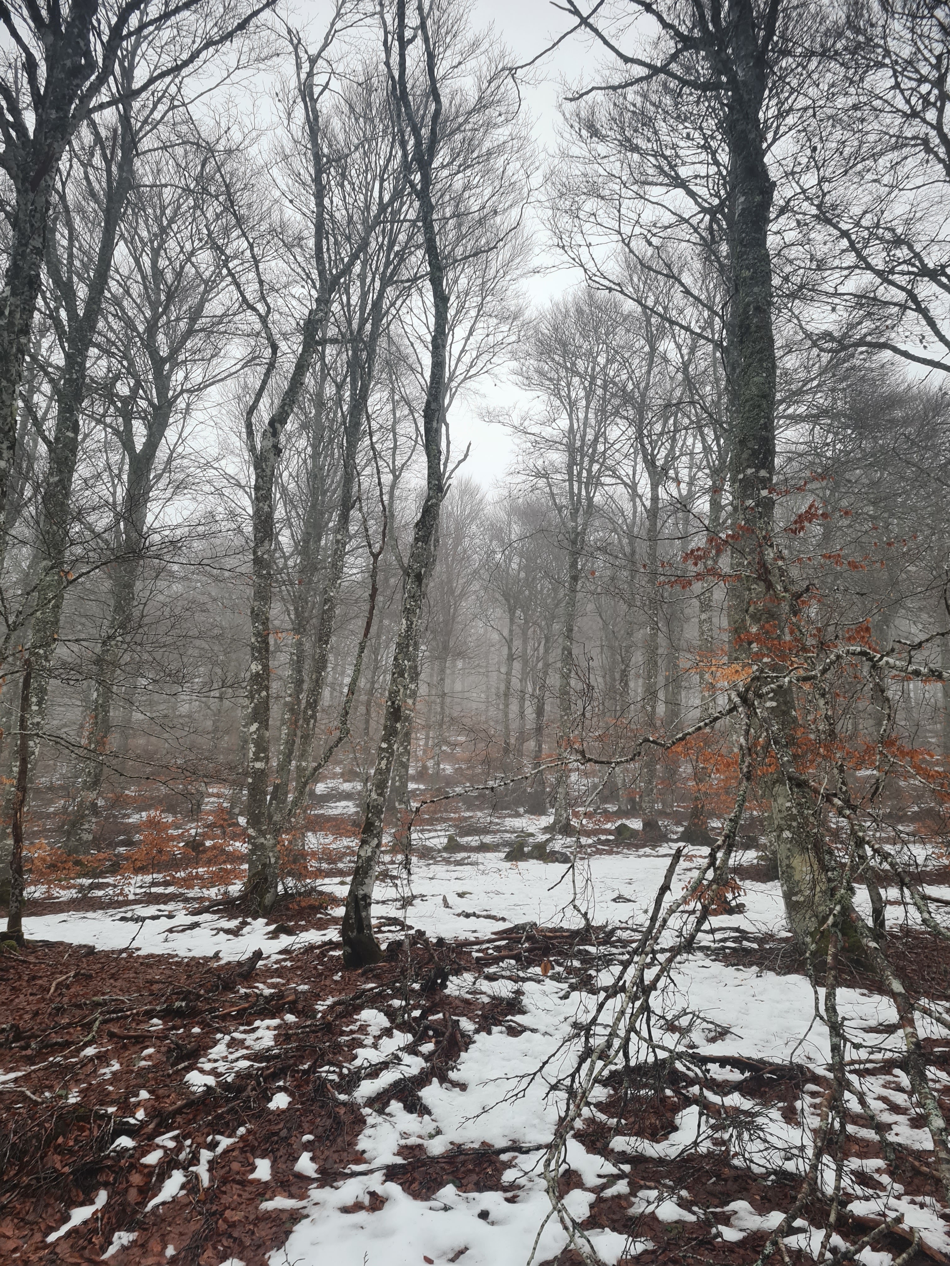 Photo n° 8 de l'avis de Ace. fait le 17/02/2022 à 17:20