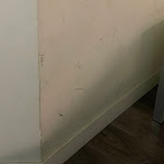 Photo n°8 de l'avis de angela.u fait le 02/07/2023 à 06:55 sur le  Hotel Roma Tor Vergata à Rome