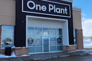 One Plant Cannabis Dispensary - Brockville image