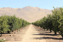 Schuil Ag Real Estate - Photo 2 - Car repair in Visalia, CA, Visalia