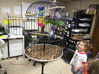 Specialty Pet Supplies - Photo 7 - Car repair in Plymouth, MI, South Lyon