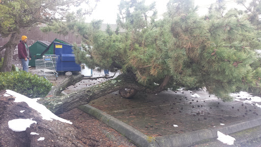 Auto Body Shop «Maaco Collision Repair & Auto Painting», reviews and photos, 355 Treck Dr, Tukwila, WA 98188, USA