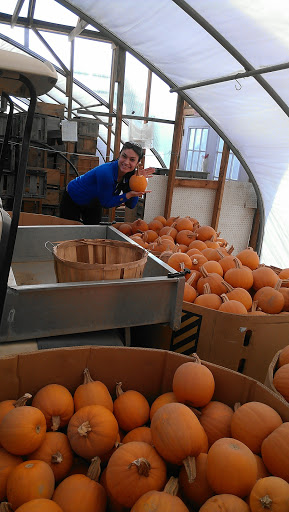 Farm «Four Town Farm», reviews and photos, 90 George St, Seekonk, MA 02771, USA