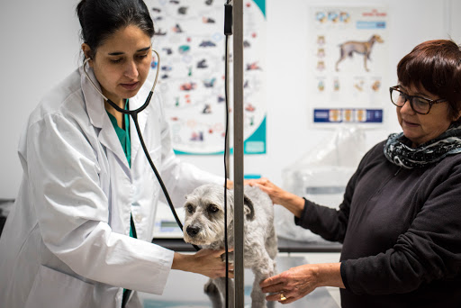 Veganvet Veterinaria en Tordera