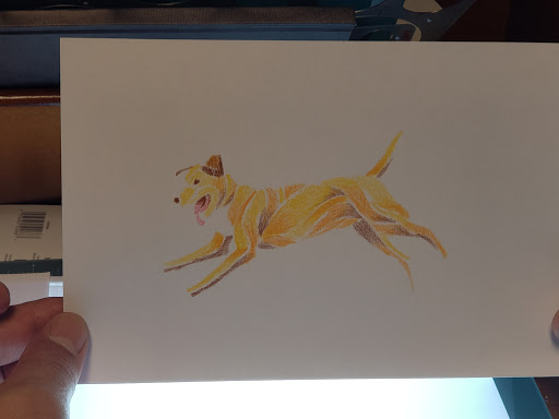 Explore stitching tattoo ideas, creative tattoo ideas in Seattle, available at Laughing Buddha Seattle