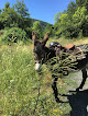 Friand Fabienne / Ferme / Tour avec les ânes Tudeils