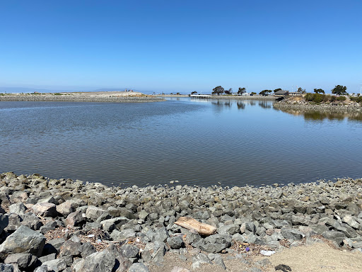 Park «Marina Park», reviews and photos, 14001 Monarch Bay Dr, San Leandro, CA 94577, USA