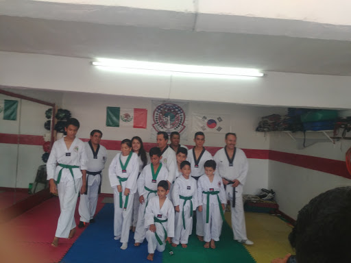 Taekwondo lessons Mexico City