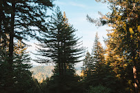 The Sequoia Retreat Center - Photo 6 - Car repair in Ben Lomond, CA, Santa Cruz