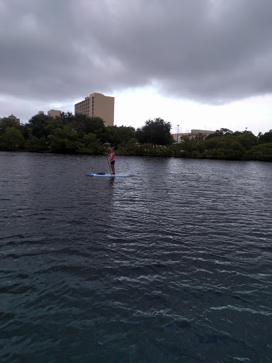 Surf Shop «Fort Lauderdale Stand Up Paddle», reviews and photos, 429 Seabreeze Blvd #214, Fort Lauderdale, FL 33316, USA