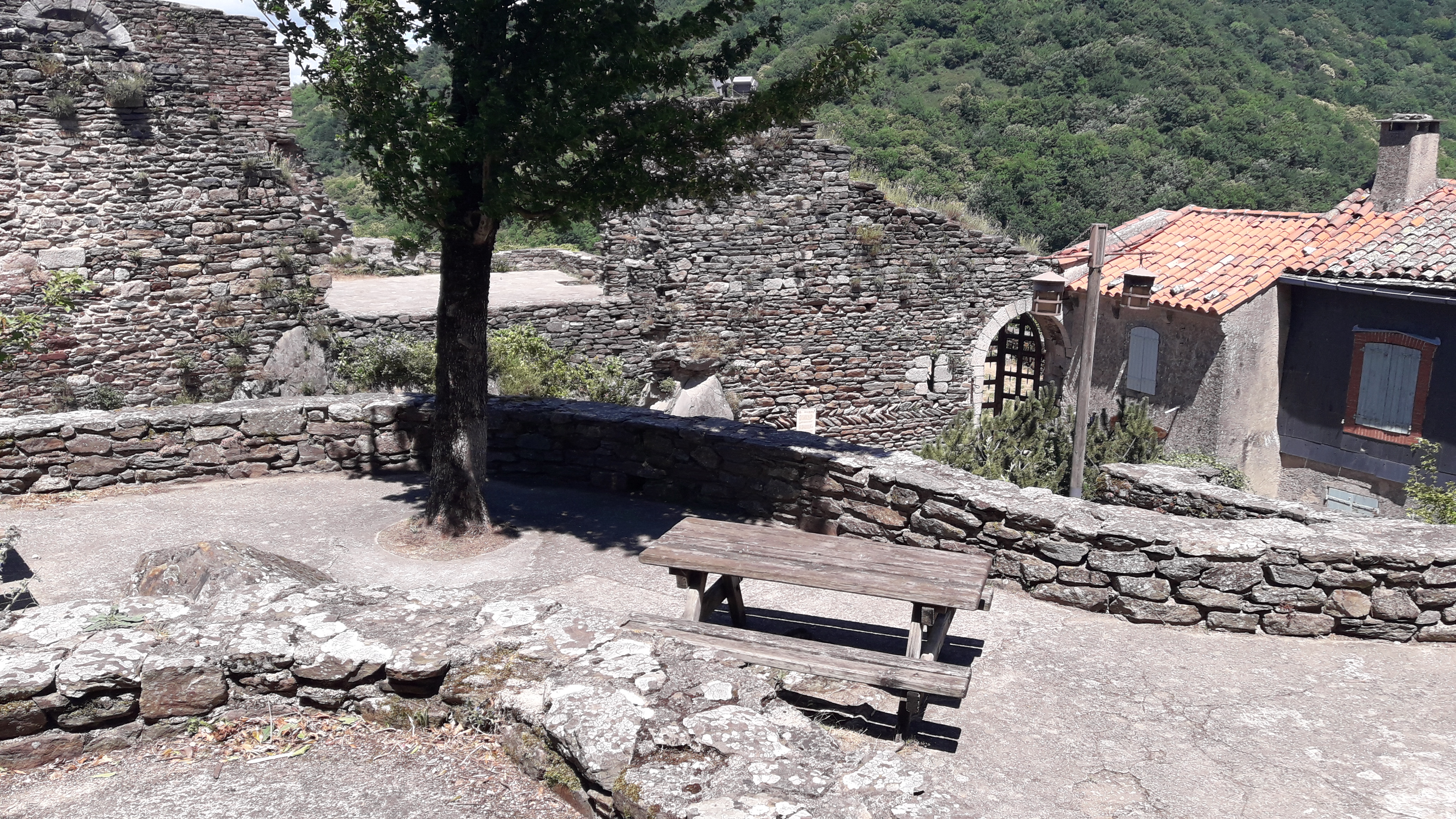 Photo n° 3 de l'avis de SEVRYNE.S fait le 23/07/2020 à 23:33