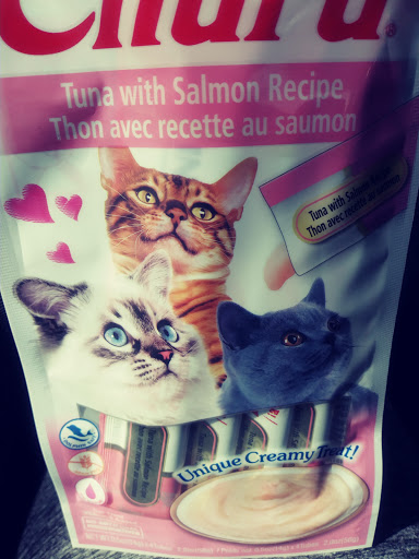 Pet Supply Store «Highland Pet Supply», reviews and photos, 1186 North Highland Avenue Northeast, Atlanta, GA 30306, USA