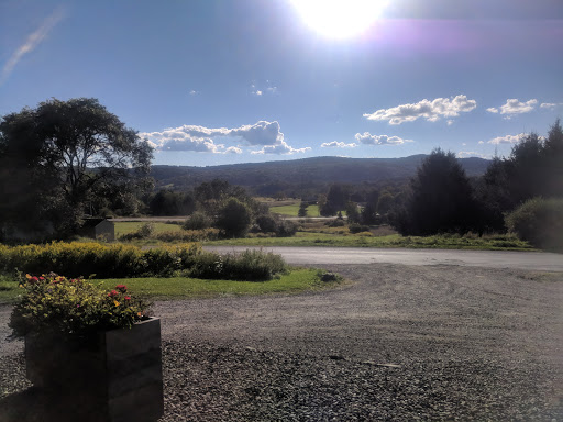 Winery «pailshop vineyards», reviews and photos, 126 Goose St, Fly Creek, NY 13337, USA