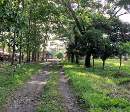 Auvil land photo
